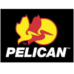 Pelican-cpafpartner